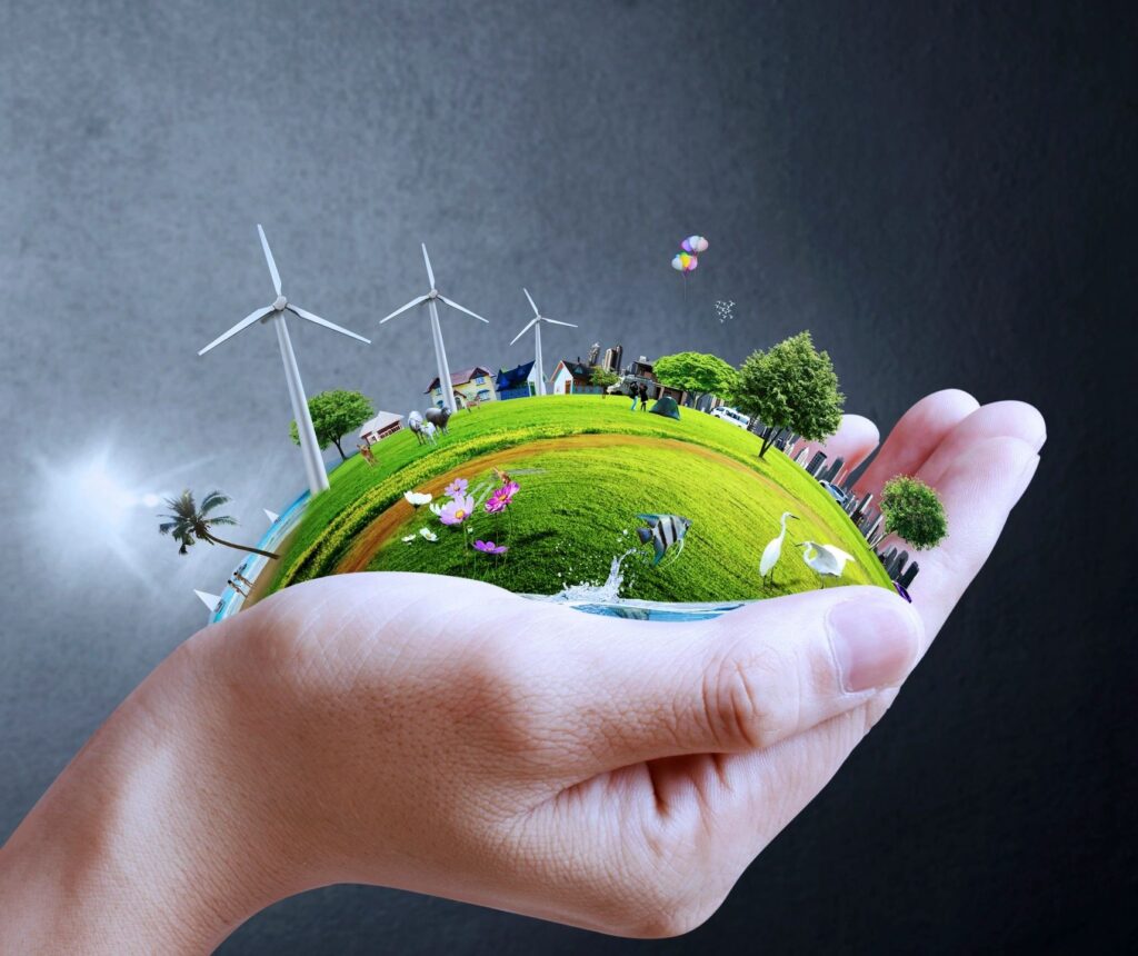 buy carbon credits