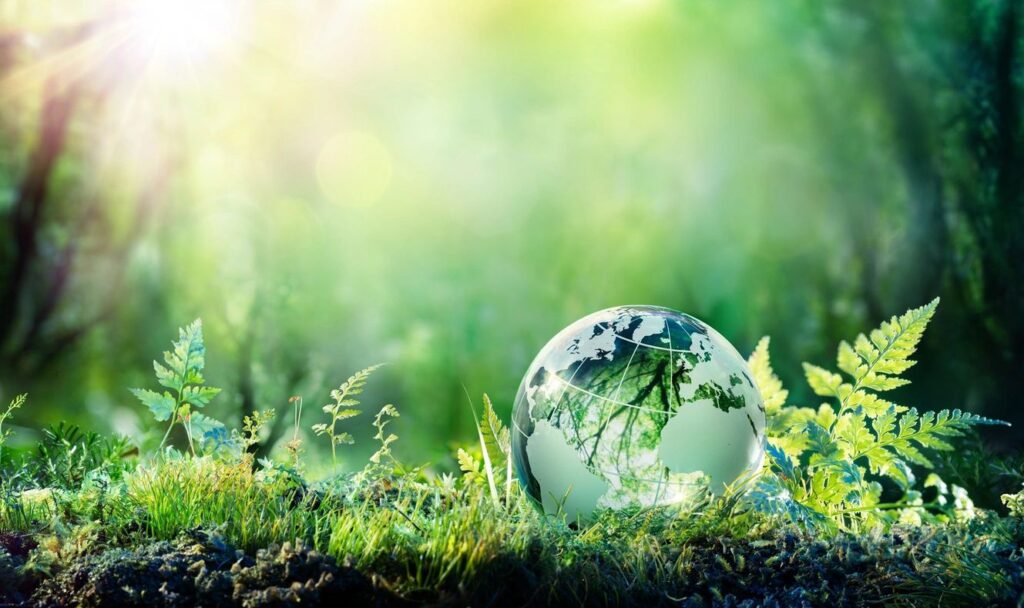 Carbon credits